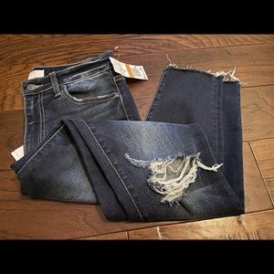 Vervet Blue - Dry Goods distressed holey jeans 29